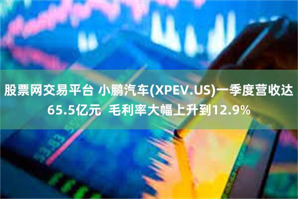 股票网交易平台 小鹏汽车(XPEV.US)一季度营收达65.5亿元  毛利率大幅上升到12.9%