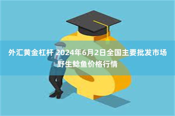 外汇黄金杠杆 2024年6月2日全国主要批发市场野生鲶鱼价格行情