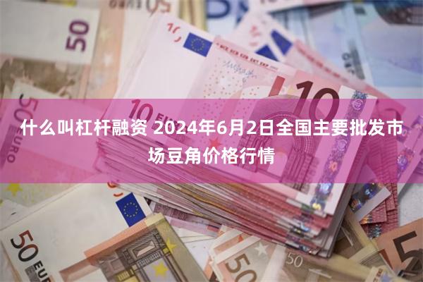 什么叫杠杆融资 2024年6月2日全国主要批发市场豆角价格行情