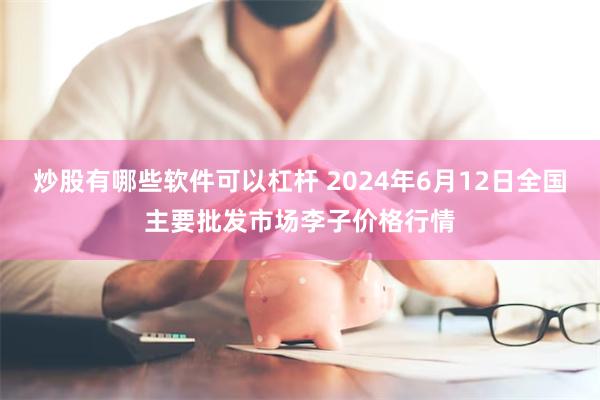 炒股有哪些软件可以杠杆 2024年6月12日全国主要批发市场李子价格行情