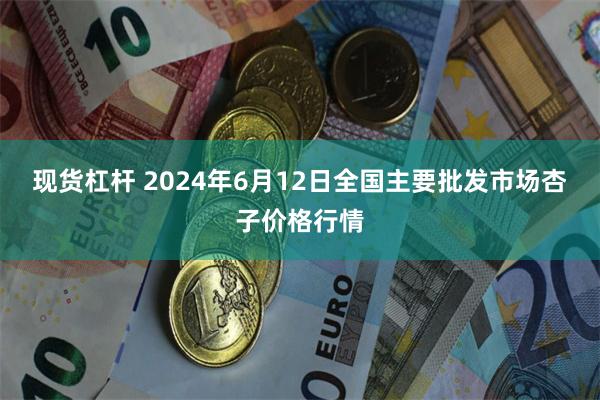 现货杠杆 2024年6月12日全国主要批发市场杏子价格行情