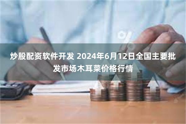 炒股配资软件开发 2024年6月12日全国主要批发市场木耳菜价格行情