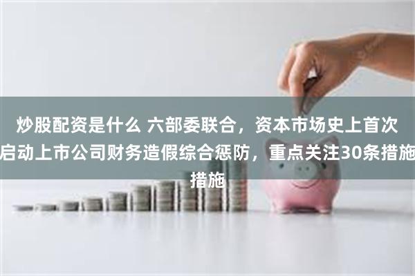 炒股配资是什么 六部委联合，资本市场史上首次启动上市公司财务造假综合惩防，重点关注30条措施