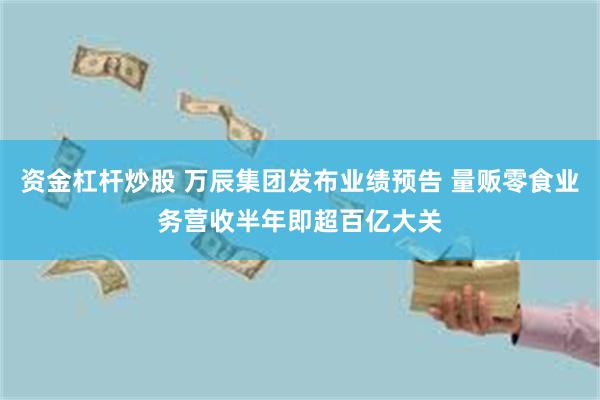 资金杠杆炒股 万辰集团发布业绩预告 量贩零食业务营收半年即超百亿大关