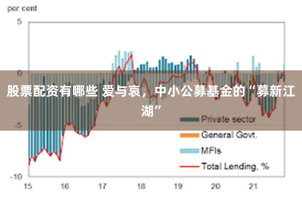 股票配资有哪些 爱与哀，中小公募基金的“募新江湖”