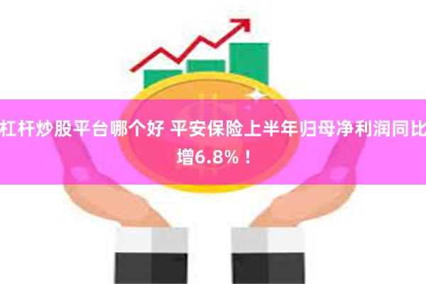 杠杆炒股平台哪个好 平安保险上半年归母净利润同比增6.8% !