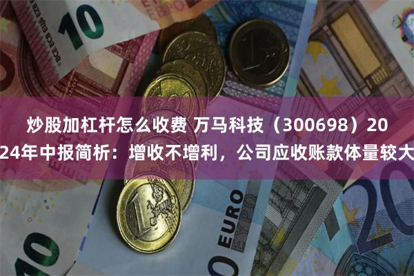 炒股加杠杆怎么收费 万马科技（300698）2024年中报简析：增收不增利，公司应收账款体量较大