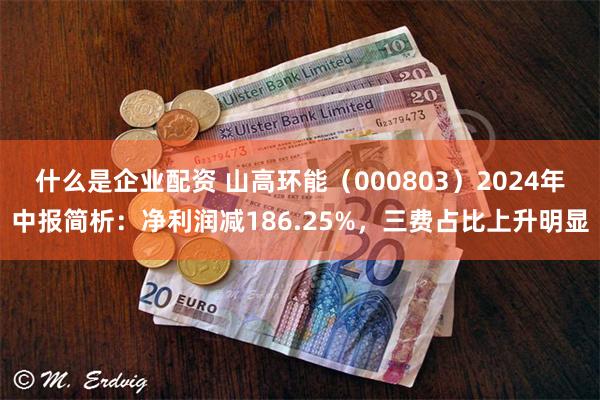 什么是企业配资 山高环能（000803）2024年中报简析：净利润减186.25%，三费占比上升明显