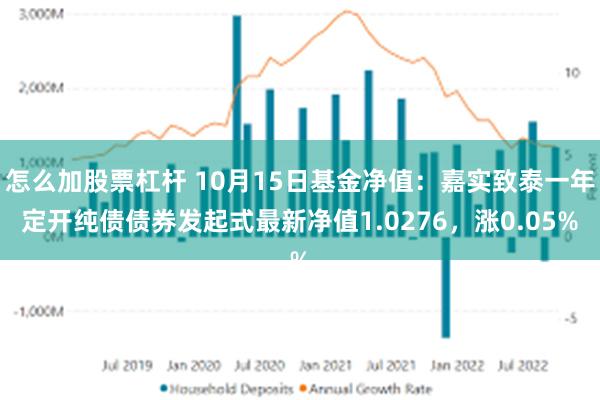 怎么加股票杠杆 10月15日基金净值：嘉实致泰一年定开纯债债券发起式最新净值1.0276，涨0.05%