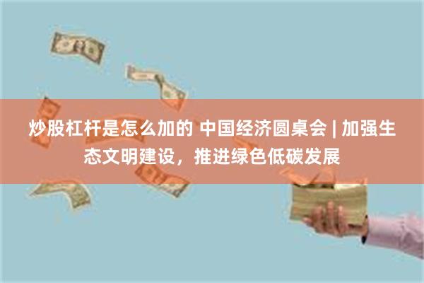 炒股杠杆是怎么加的 中国经济圆桌会 | 加强生态文明建设，推进绿色低碳发展