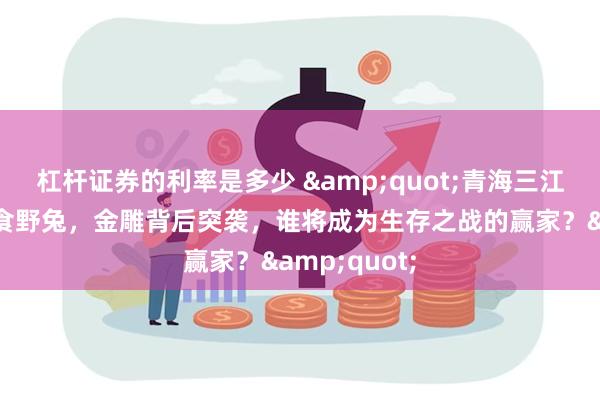 杠杆证券的利率是多少 &quot;青海三江源：狐狸捕食野兔，金雕背后突袭，谁将成为生存之战的赢家？&quot;