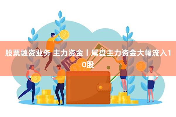 股票融资业务 主力资金丨尾盘主力资金大幅流入10股