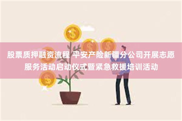 股票质押融资流程 平安产险新疆分公司开展志愿服务活动启动仪式暨紧急救援培训活动