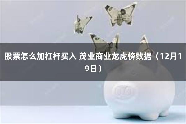 股票怎么加杠杆买入 茂业商业龙虎榜数据（12月19日）