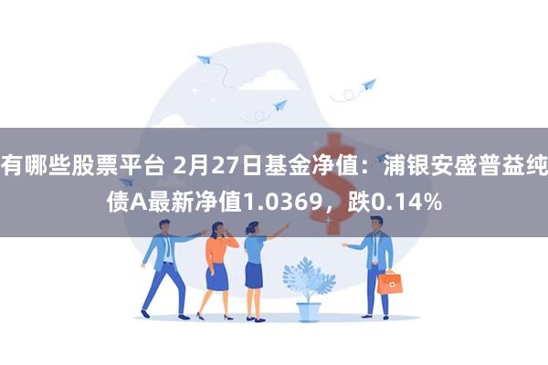 有哪些股票平台 2月27日基金净值：浦银安盛普益纯债A最新净值1.0369，跌0.14%