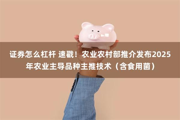 证券怎么杠杆 速戳！农业农村部推介发布2025年农业主导品种主推技术（含食用菌）
